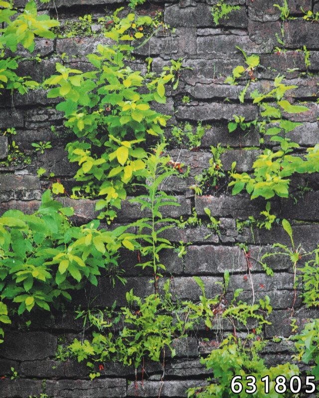 Best wallpaper shop in Chennai